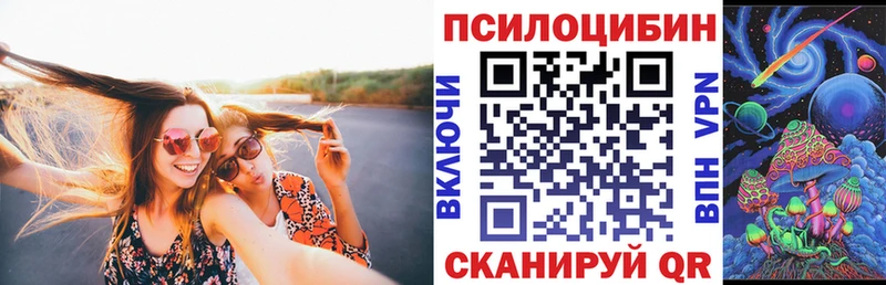 где купить наркоту  ссылка на мегу сайт  Псилоцибиновые грибы Psilocybe  нарко площадка Telegram  Ахтубинск 